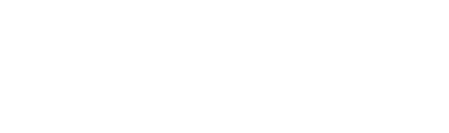 Report sintesi