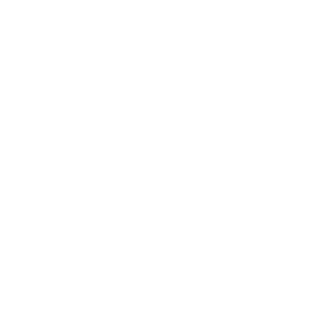 Associazione Nazionale Giovani Innovatori