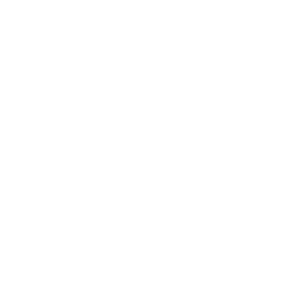 BEST Turin
