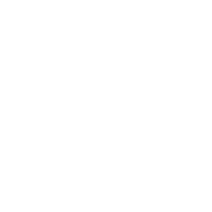 ELSA