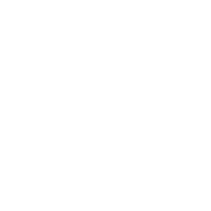 Fridays For Future