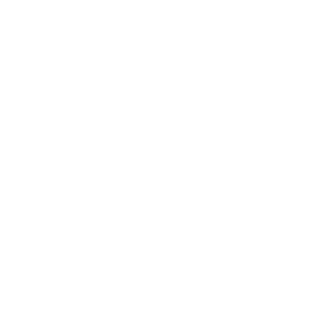 Global Shapers Community Florence