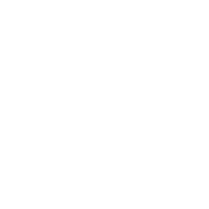 Global Shapers Community Palermo