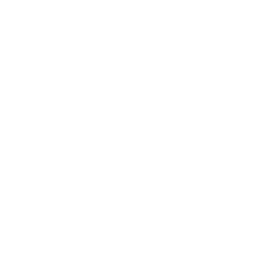 Global Shapers Community Turin