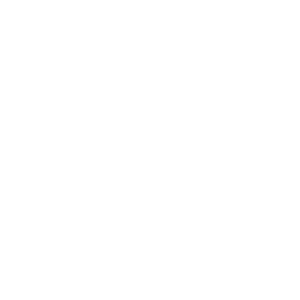Goodwill