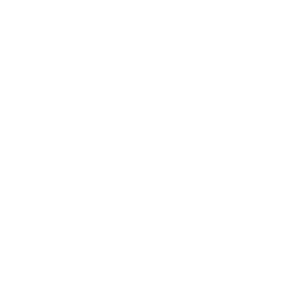 Homo Ex Machina