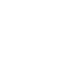 People's Voice