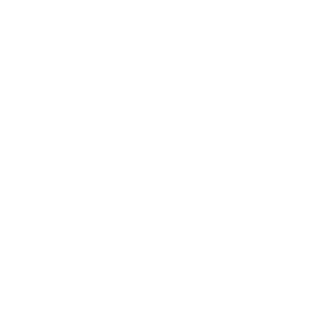 REGIB