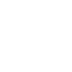 Venice Diplomatic Society