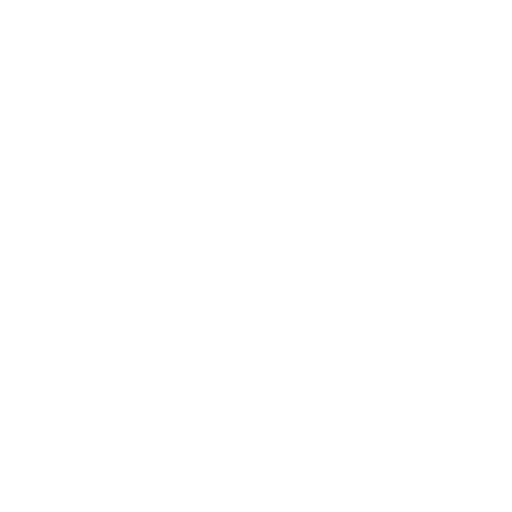 Young Women Network