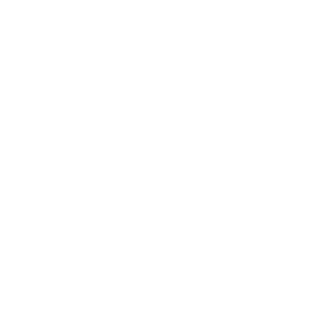 VisionaryDays