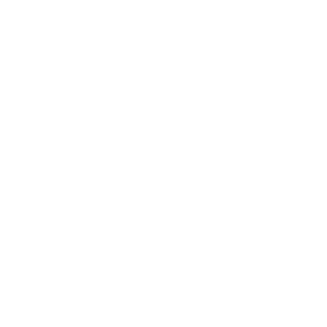Consiglio Nazionale dei Giovani