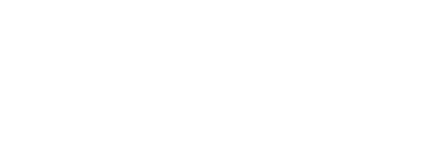 Agenzia Nazionale per i Giovani
