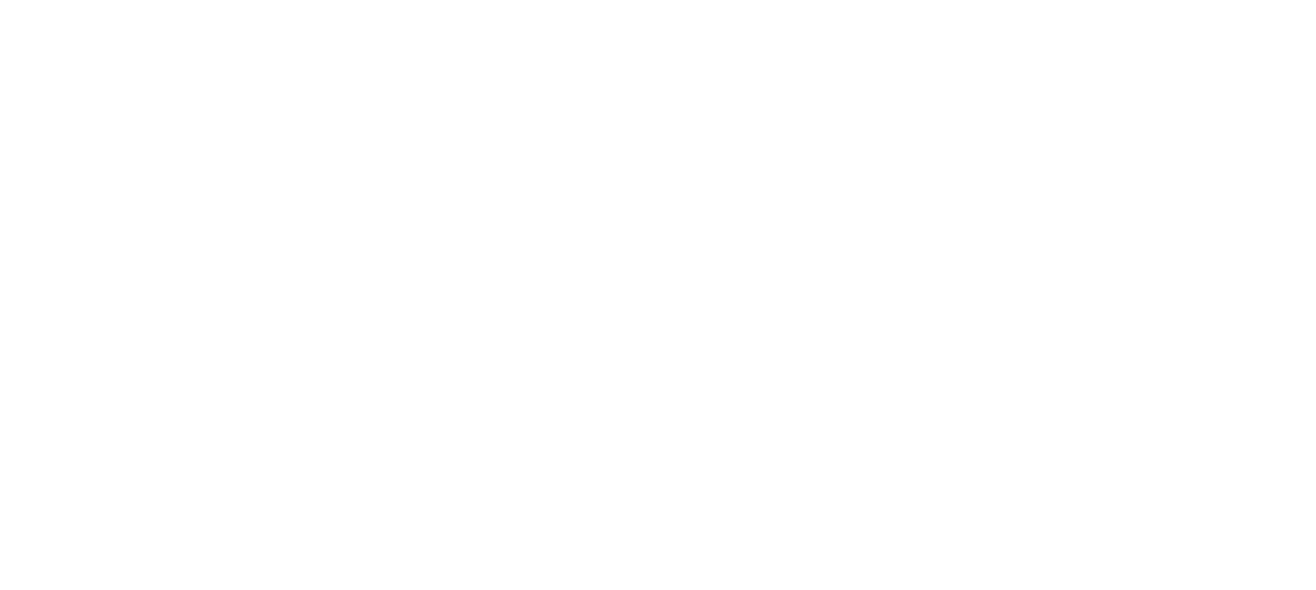 Politecnico di Torino
